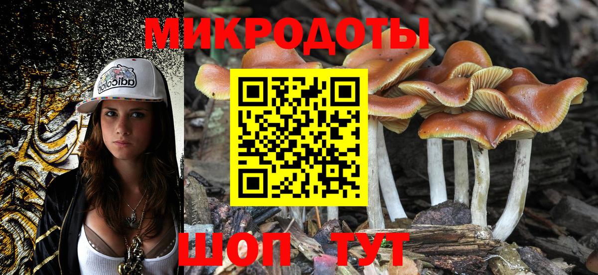 Галлюциногенные грибы Cubensis  Вход с VPN  Советск  Галлюциногенные грибы Magic Shrooms 