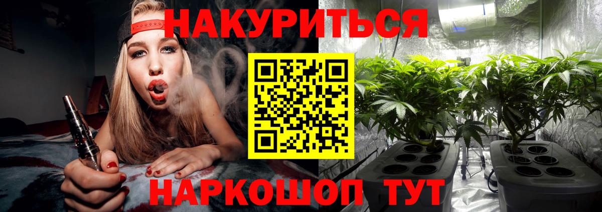 Шишки марихуана семена  Конопля семена  Советск  Шишки марихуана план  Вход с VPN  Бошки марихуана OG Kush 